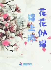 锦上添花花似锦